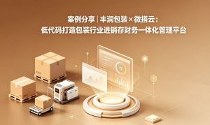 案例分享|丰润包装×微搭云：低代码